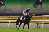 20120611A18D90.jpg