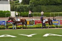 20120922B07D90.jpg