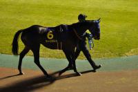 20121105B16D90.jpg
