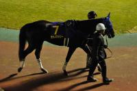 20121105B17D90.jpg