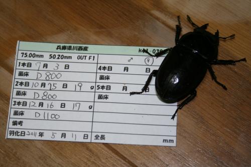 IMG_3020_convert_20120520063738.jpg