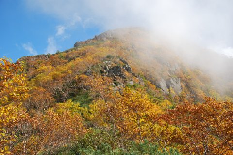 高嶺を振り返る