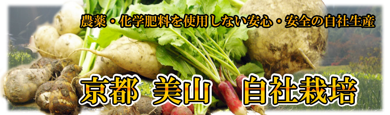 banner_miyama01.jpg