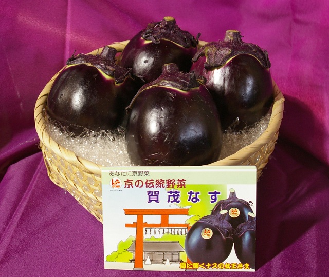 kamonasu4ko