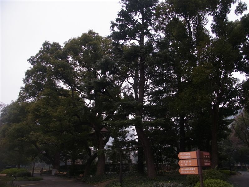 20140204008_R.jpg