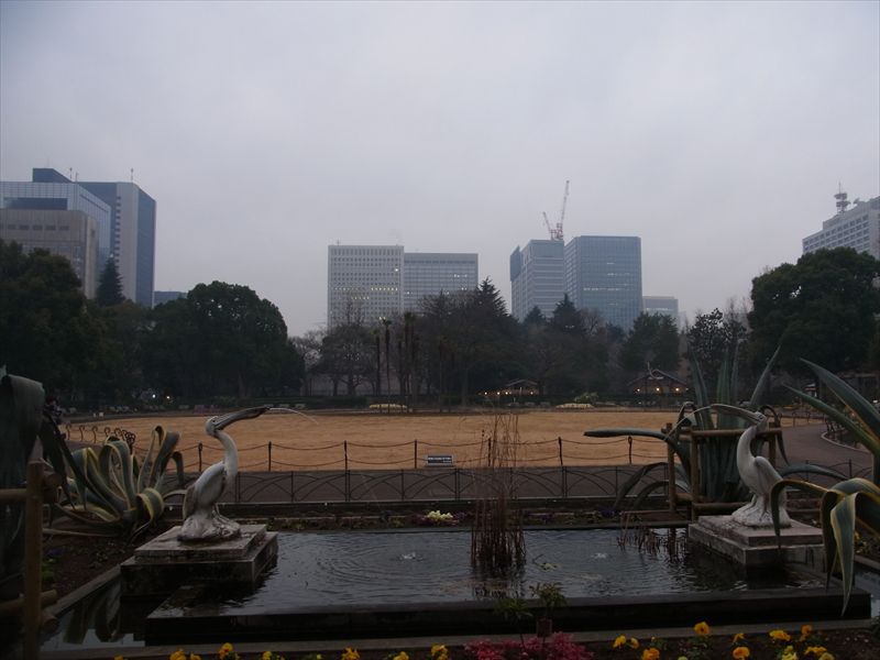 20140204010_R.jpg
