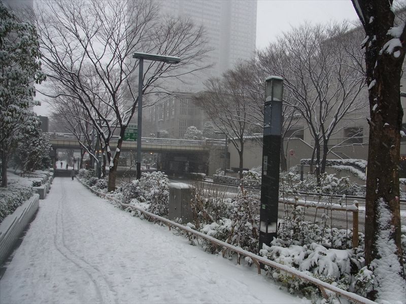 20140208003_R.jpg