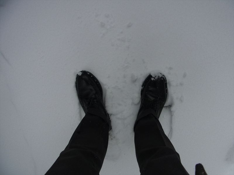 20140208014_R.jpg
