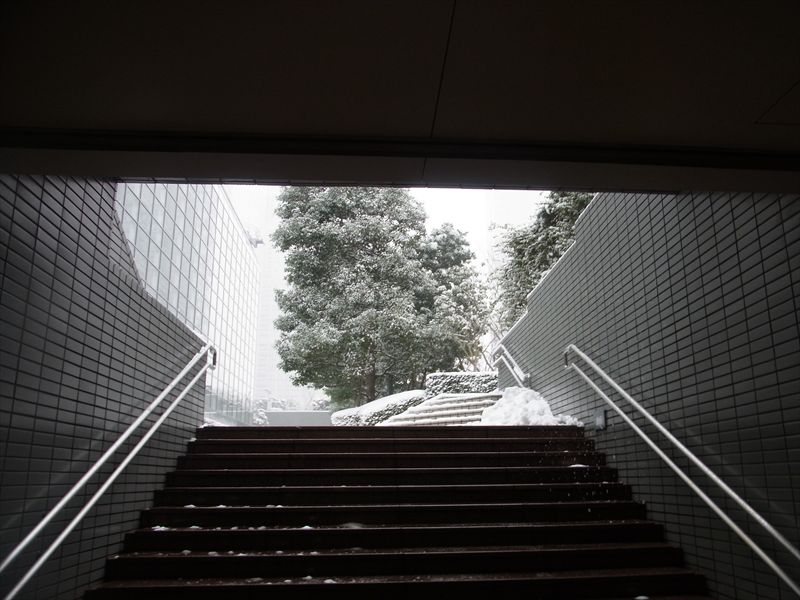 20140208015_R.jpg