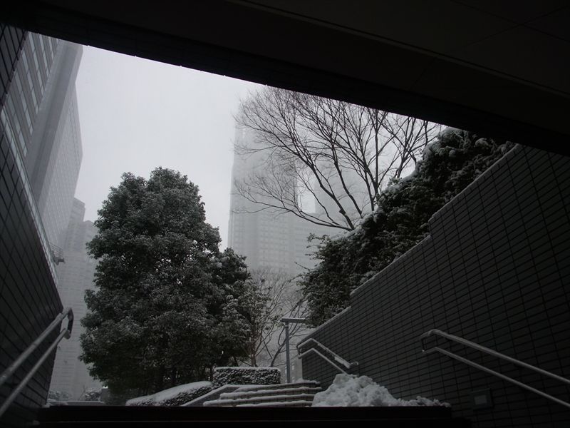 20140208016_R.jpg