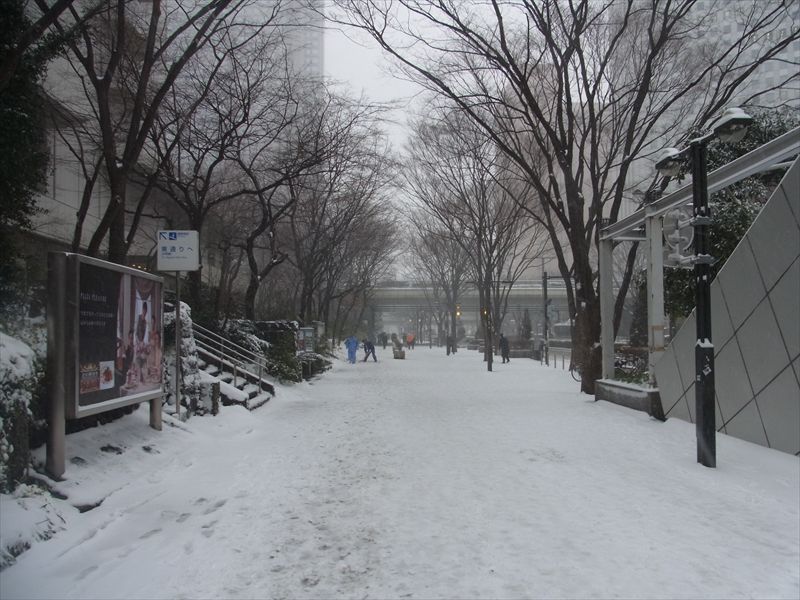 20140208022_R.jpg