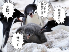ペンギン