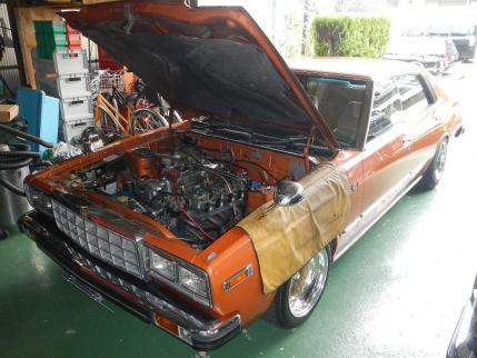 DSCN1033.jpg