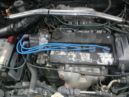 DSCN1038.jpg