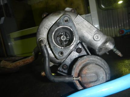 DSCN1445.jpg