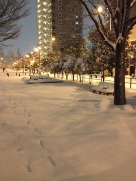 2014-0208 チバリウス2