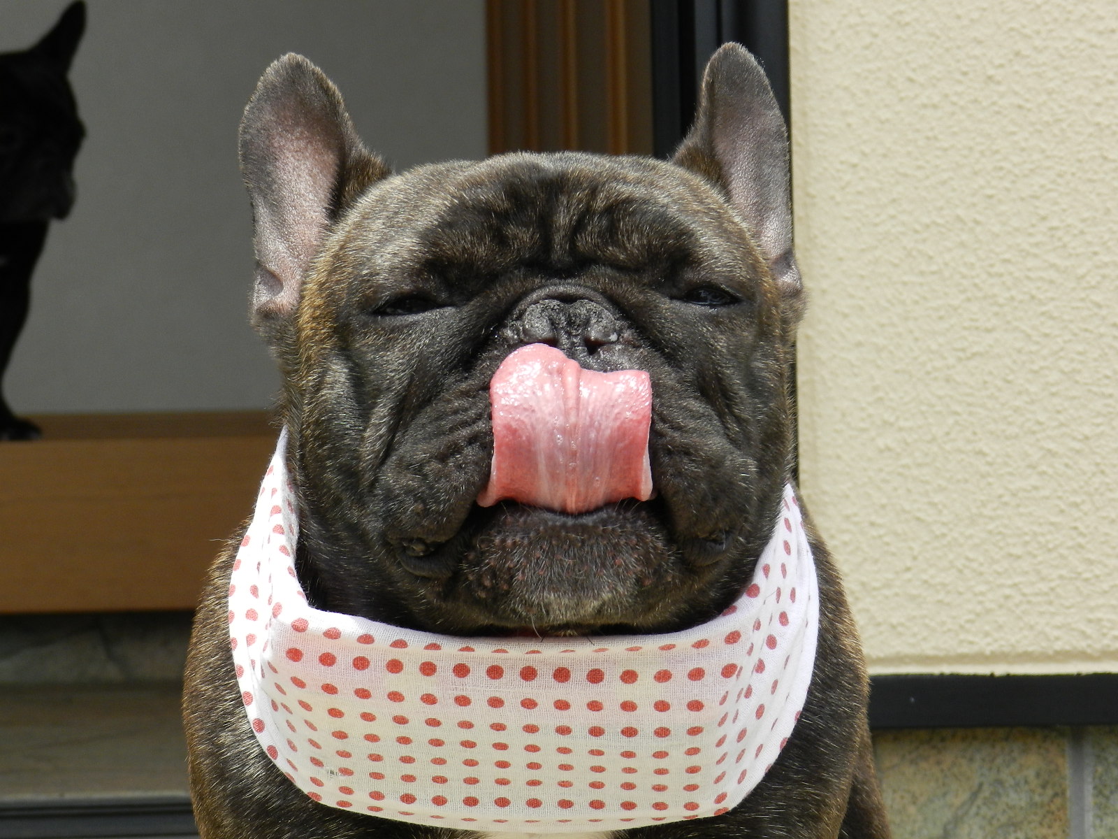 DSCN6535.jpg