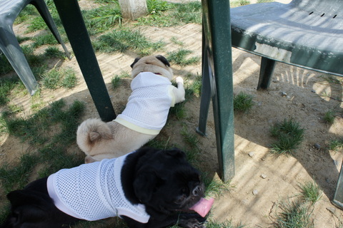 DSC05701.jpg