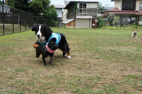 DSC05916.jpg