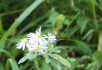 DSC06534.jpg
