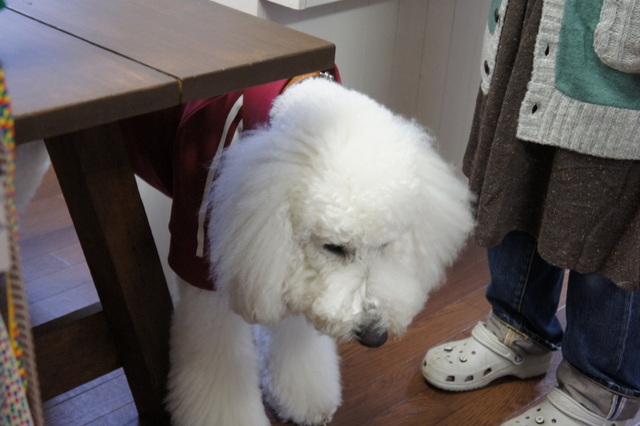 DSC07713.jpg