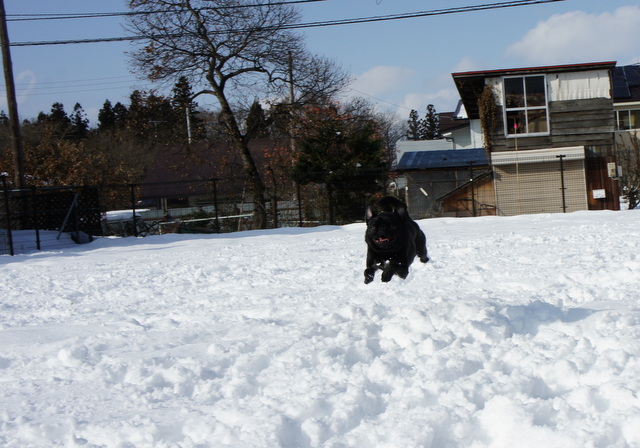 DSC07789.jpg