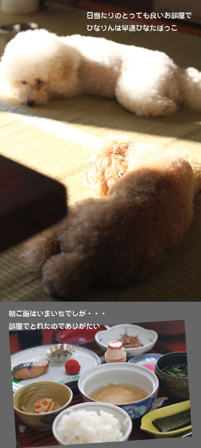asagohanhh.jpg