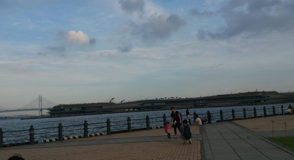 DSC_0181-1.jpg