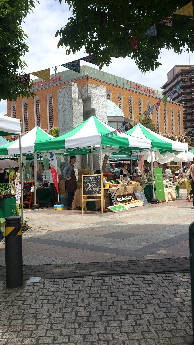 DSC_0238.jpg