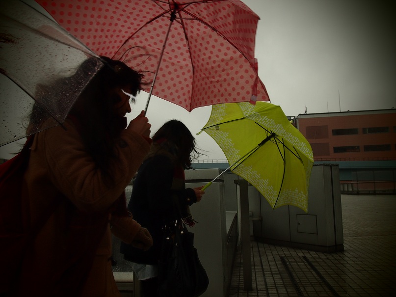 P2060160.jpg