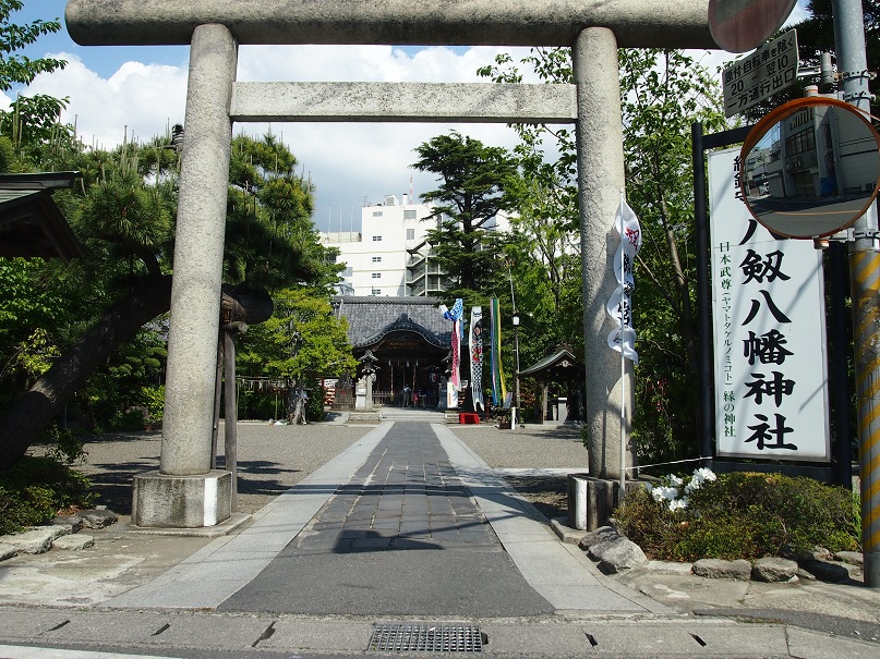 P5040564.jpg