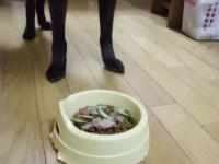 食べていいのか