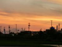夕日4