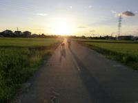 夕日に向かって