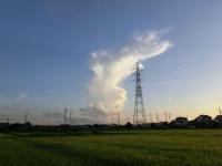 南の空