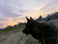 だいすけと夕日