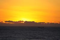 夕日1