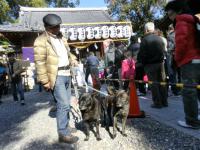 伊奴神社2