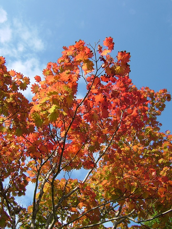 DSCF3408.jpg