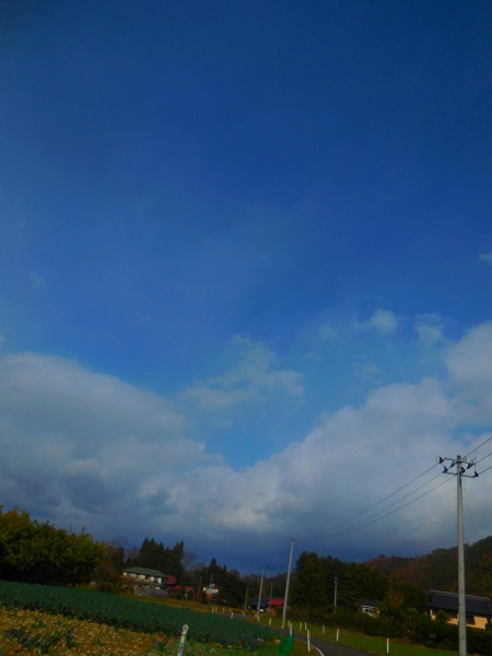 DSCN9317-600_20141115175522e2e.jpg