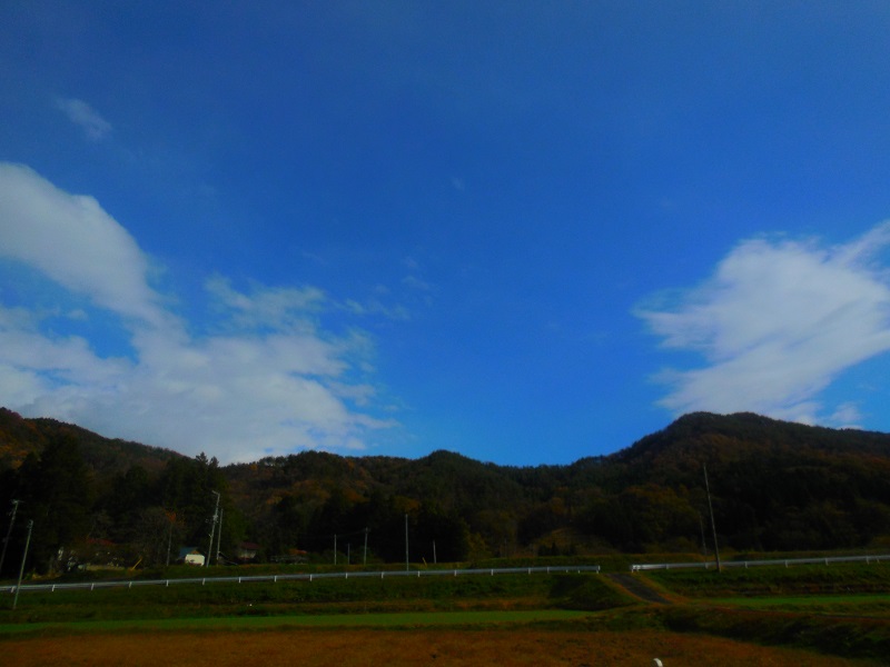 DSCN9325-600_20141115175520dc2.jpg