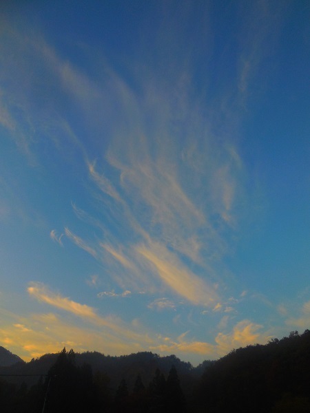 DSCN9343-600.jpg