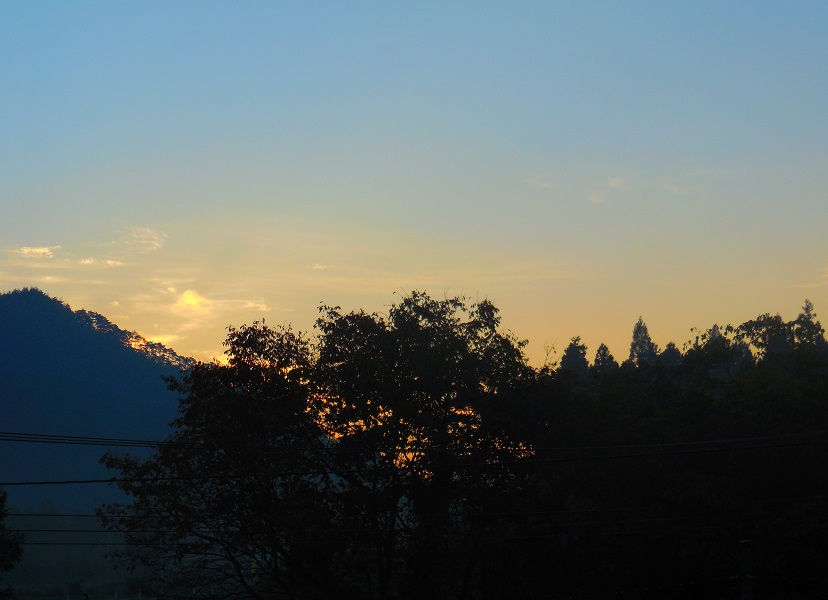 DSCN9345-600.jpg
