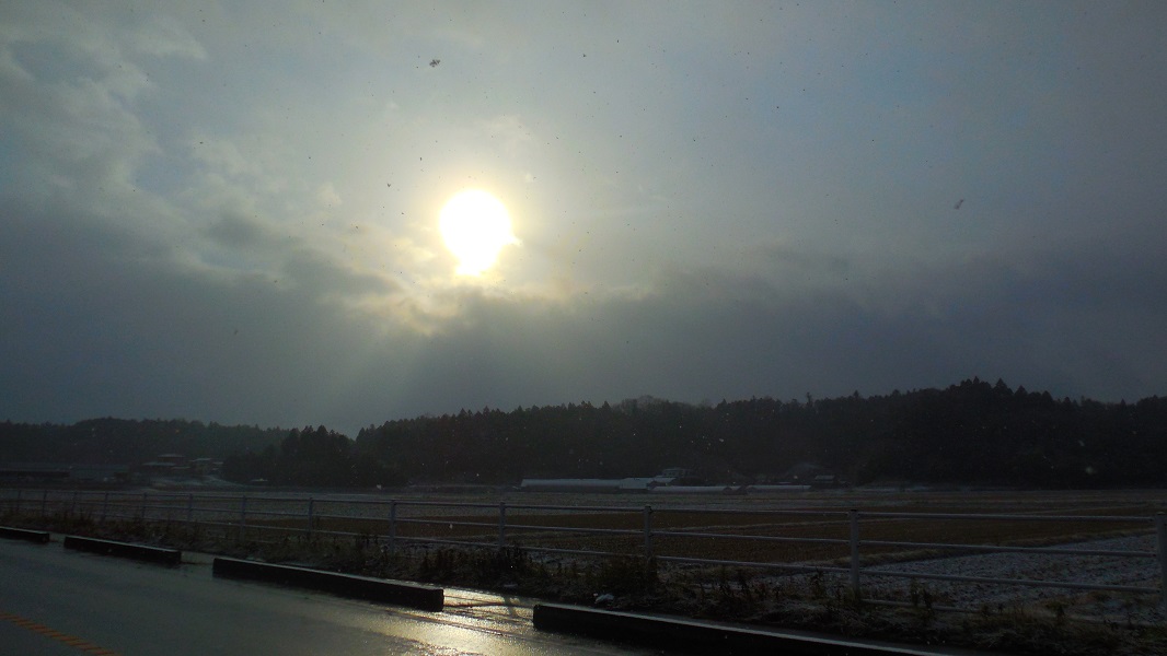 DSCN9577-600.jpg