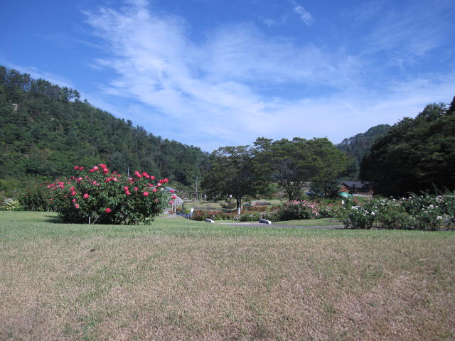 IMG_9086.jpg