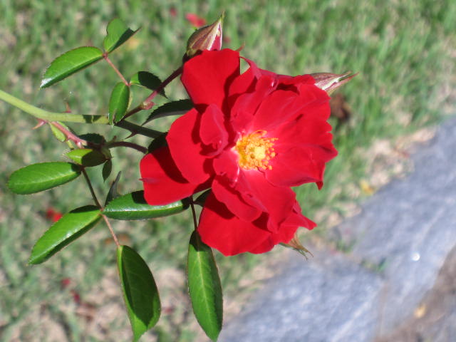 IMG_9089.jpg