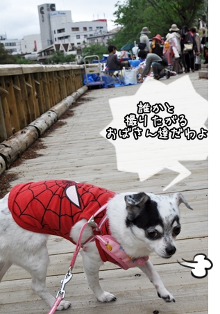 120503 (7)