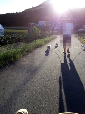 20120917_065803.jpg