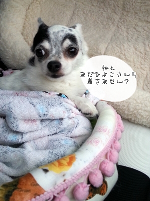 20120920_171651.jpg