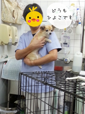 20121011_112351.jpg